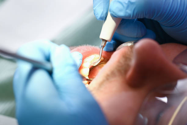 Best Emergency Orthodontic Services in New London, MN
